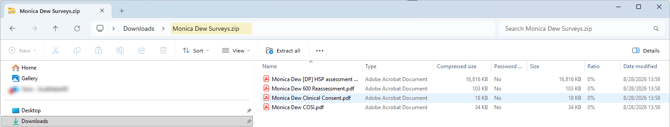 export_patient_surveys_3_optional